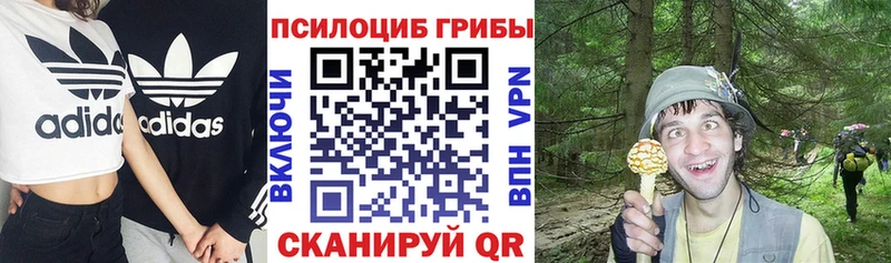 Псилоцибиновые грибы мицелий  блэк спрут сайт  Высоковск 